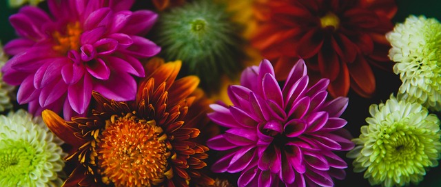 也为其他地 也为其他地