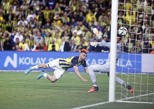 一个显著特 一个显著特