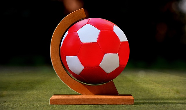 作为球迷 作为球迷