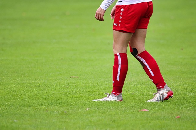 的成果将有 的成果将有