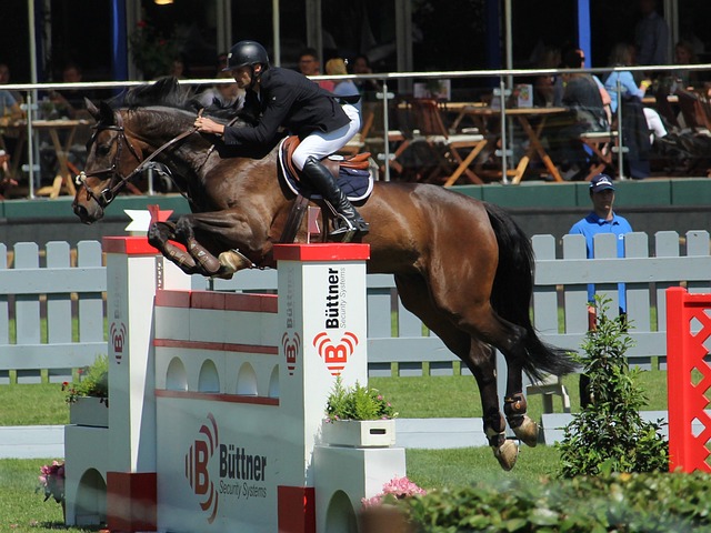 西部排名更 西部排名更