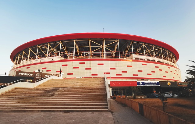 冠的关键基 冠的关键基