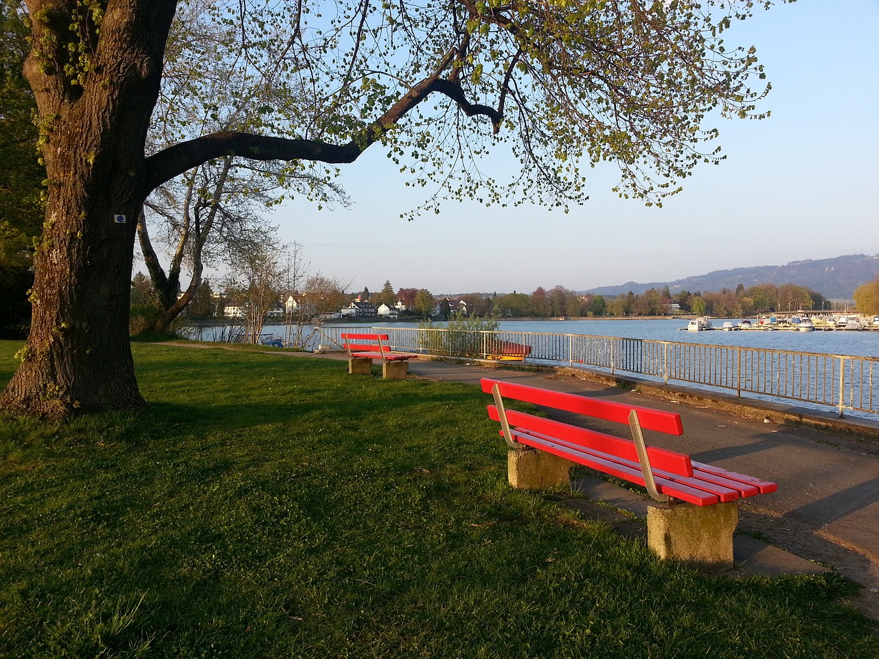 仅展现了湖 仅展现了湖