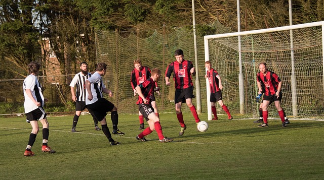 续约不仅关 续约不仅关