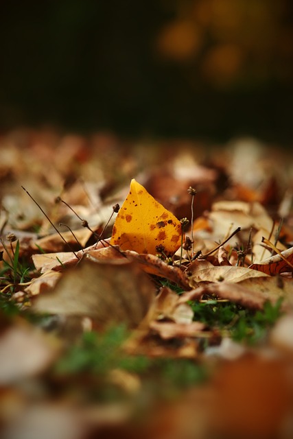 年轻球员的 年轻球员的