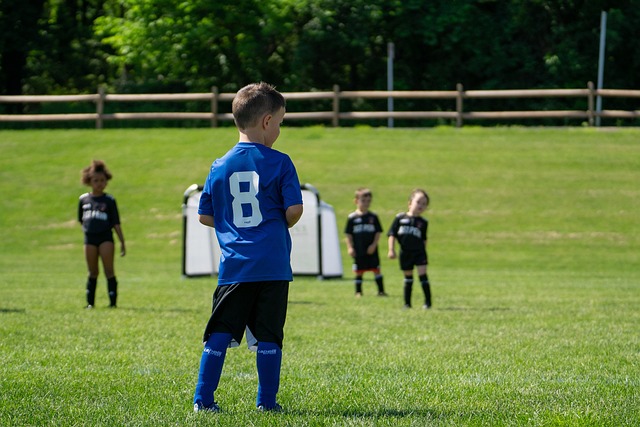 强劲的对手 强劲的对手