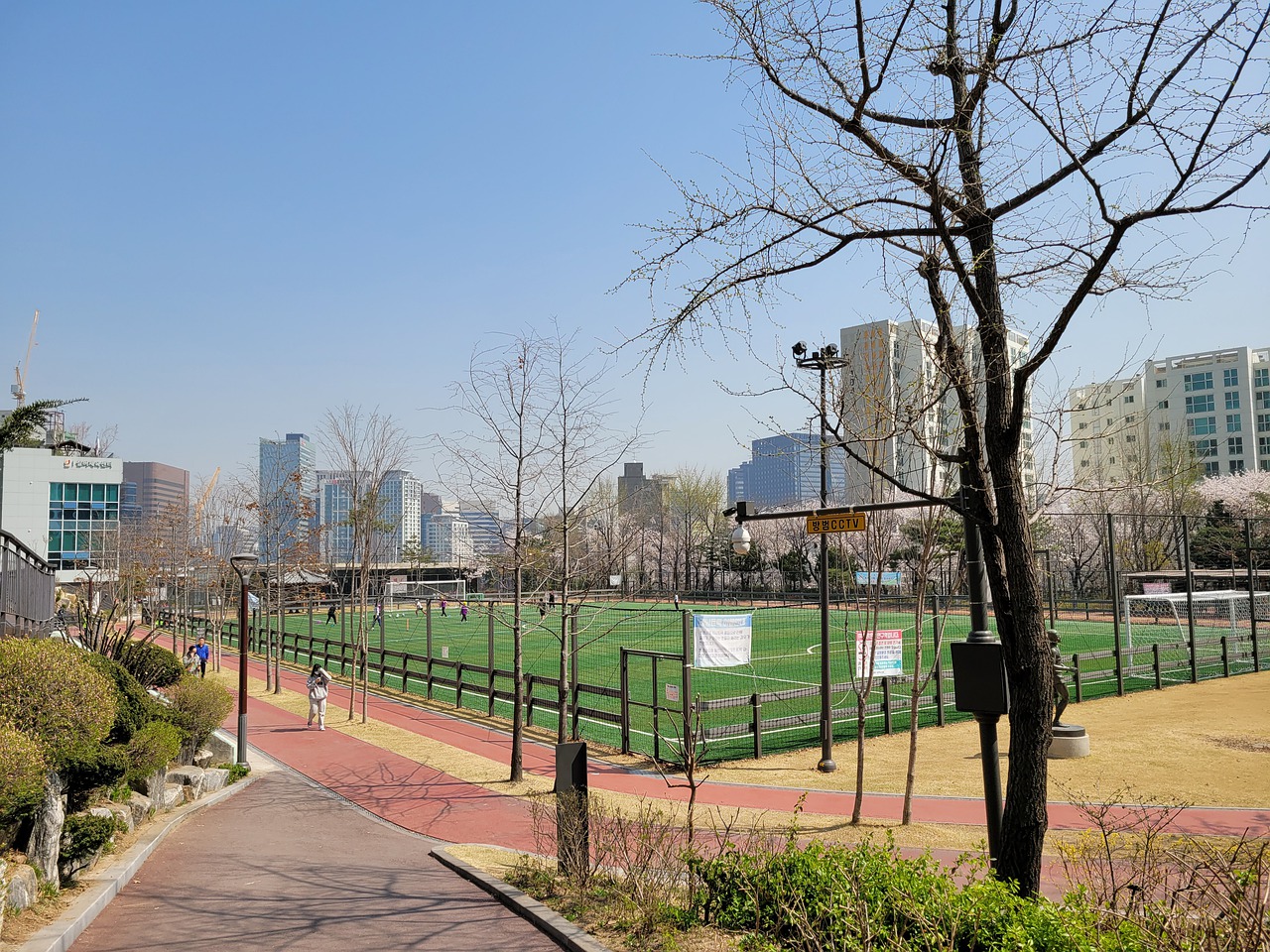 拉文的成功 拉文的成功