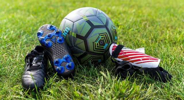 總的來說 總的來說